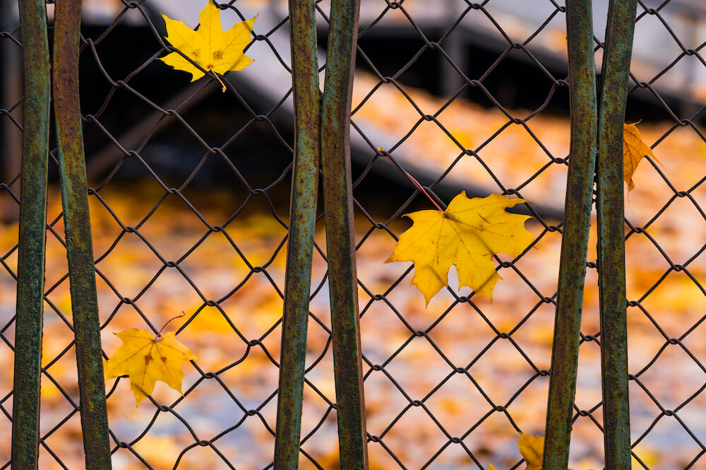 Jak zrobić ogrodzenie z siatki z plecionego drutu Jak zrobić ogrodzenie z siatki z plecionymi oczkami