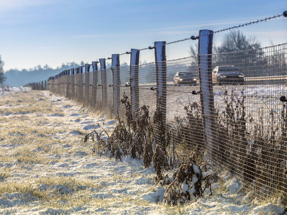 Jak zrobić ogrodzenie z siatki odpornej na śnieg