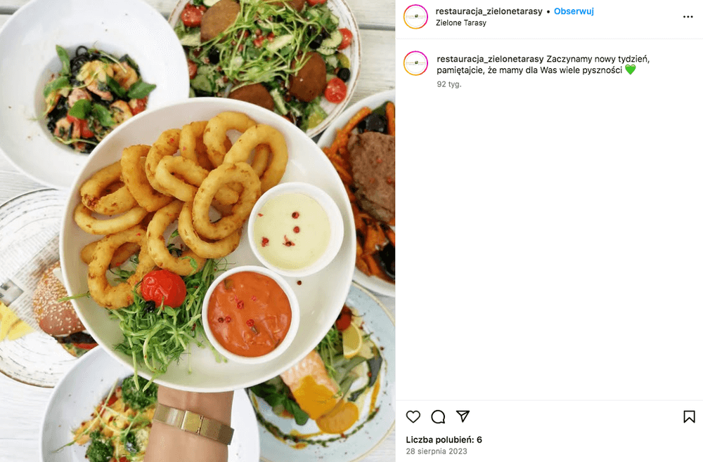 restauracja Zielone Tarasy - przystawki i dania główne 